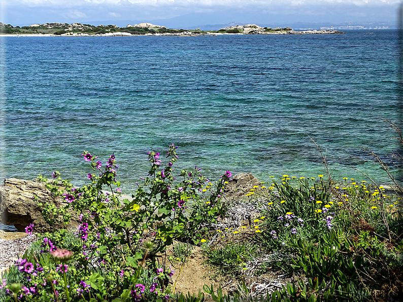 foto Spiagge a Santa Teresa di Gallura